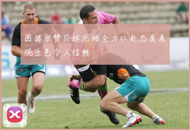 图赫尔赞贝林厄姆全力以赴态度表现出色令人信赖